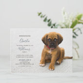 New Puppy Kitten Adoption Ankündigung Foto (Stehend Vorderseite)