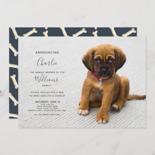 New Puppy Kitten Adoption Ankündigung Foto (Vorne/Hinten)