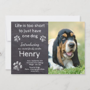 New Puppy - Rustic Pet Foto Chalkboard Puppy Ankündigung