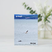 New Quay / Cei Newydd Postkarte (Stehend Vorderseite)