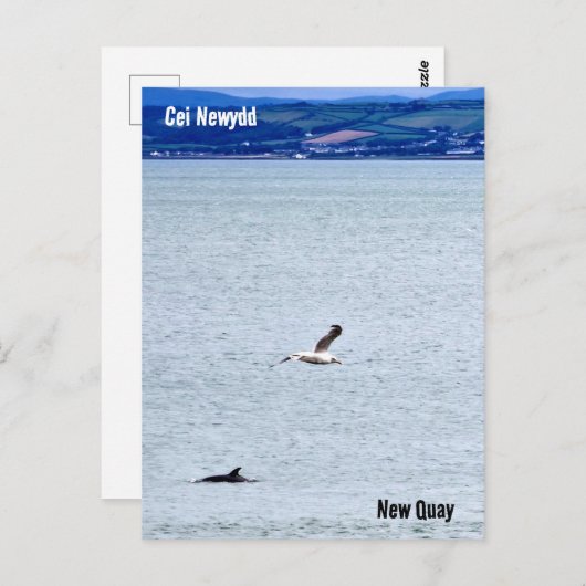 New Quay / Cei Newydd Postkarte (Vorne/Hinten)
