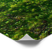 New River Gorge Bridge I Poster (Ecke)
