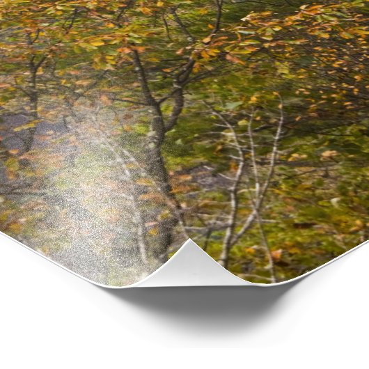 New River Gorge Bridge, New River Gorge Fotodruck (Ecke)