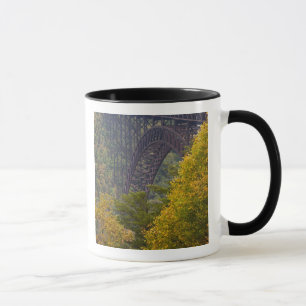 New River Gorge Bridge, New River Gorge Tasse