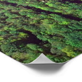 New River Gorge Bridge - West Virginia Poster (Ecke)