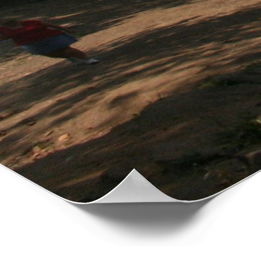 New River Gorge Bridge WVA Poster (Ecke)