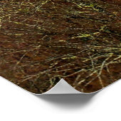 New River Gorge, West Virginia Poster (Ecke)