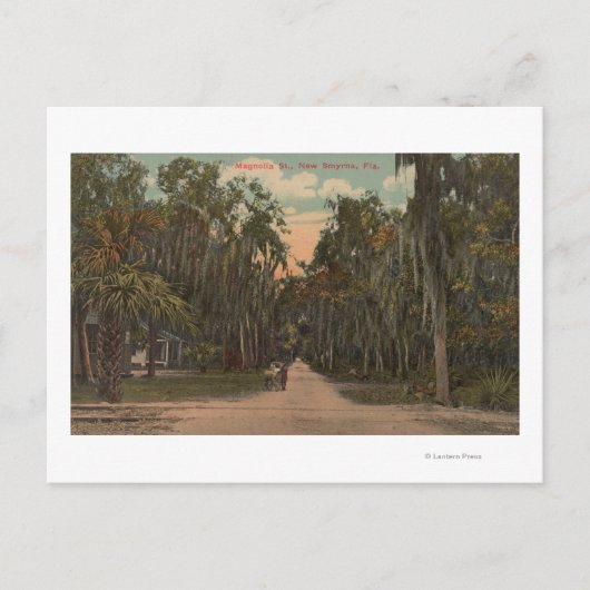New Smyrna, Florida - Blick auf Magnolien Postkarte (Vorderseite)