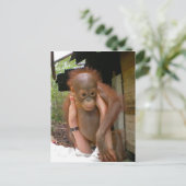New Sweet Baby Orangutan Postkarte (Stehend Vorderseite)