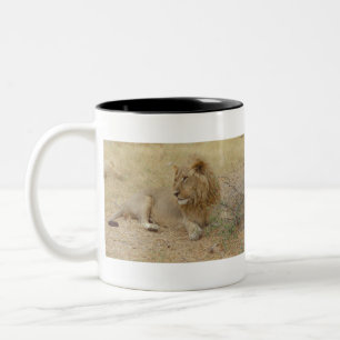 New Sweet Lion King, Botswana.JPG Zweifarbige Tasse
