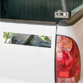 New World Porcupine Autoaufkleber (Auf Lkw)