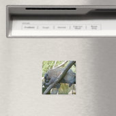New World Porcupine Magnet (In Situ (Geschirrspüler))