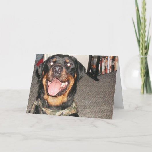 new years 002 feiertagskarte (Vorderseite)