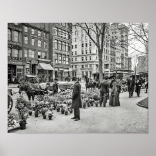 New York, 1904. A flower vender's Easter display Poster