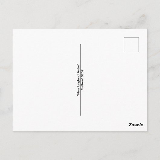 New York Aster "Magic Lila" im Herbst Postkarte (Rückseite)