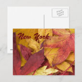 New York Autumn Leaves Postcard Postkarte (Vorne/Hinten)