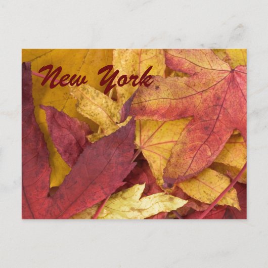 New York Autumn Leaves Postcard Postkarte (Vorderseite)