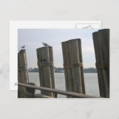 New York - Batteriepark Postkarte (Vorne/Hinten)