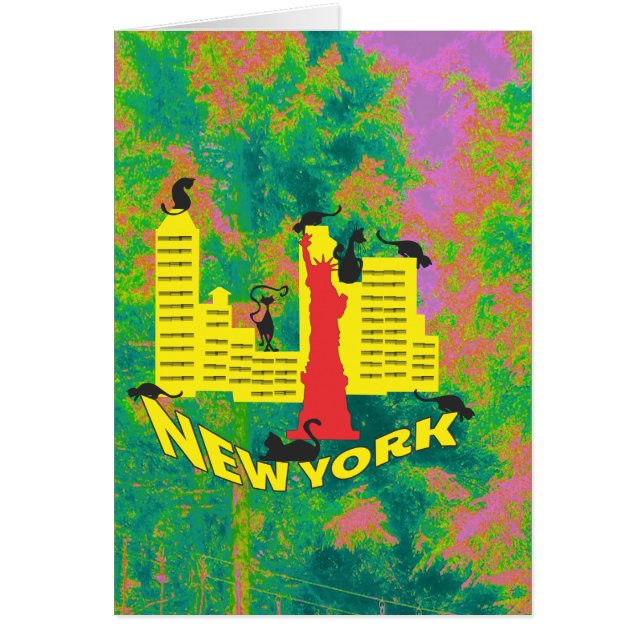 NEW YORK Cat (Vorne)