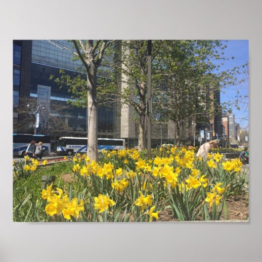 New York City Daffodis Columbus Circle NYC Spring Poster (Vorne)