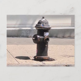 New York City Fire Hydrant Post Card Postkarte