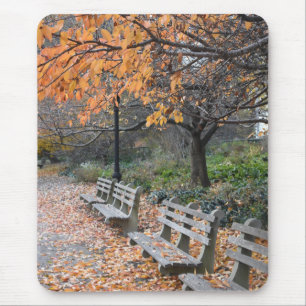 New York City Fotoherbst in Riverside Park Mousepad