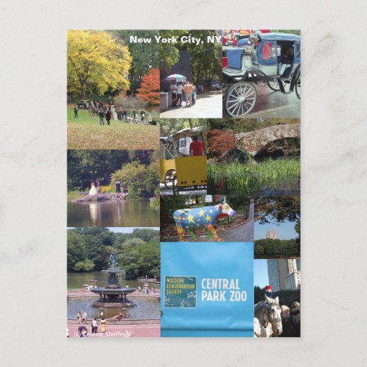 New York City, New York Postkarte (Vorderseite)