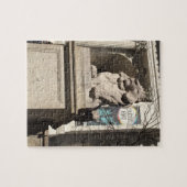 New York City NYC Public Library Lion Statue Puzzle (Horizontal)