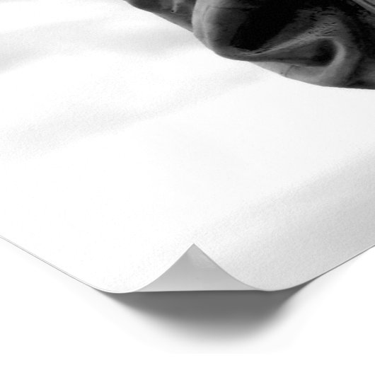 New York City Poster (Ecke)