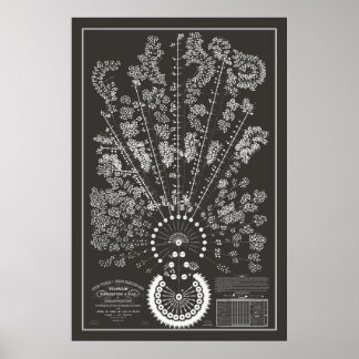 New York & Erie Railroad Org - Dunkel - Kontur Poster