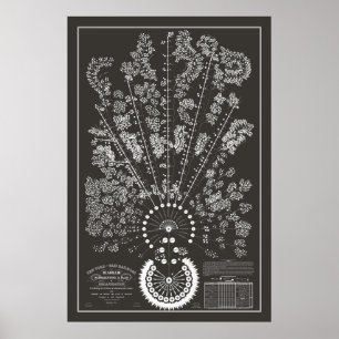 New York & Erie Railroad Org - Dunkel - Umriss Poster