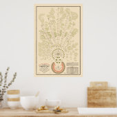 New York & Erie Railroad Org - hell - Farbe Poster (Küche)