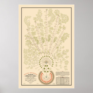 New York & Erie Railroad Org - hell - Farbe Poster