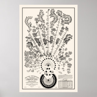 New York & Erie Railroad Org - Kontur Poster