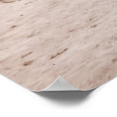 New York Infantry Company C, Zivil War Poster (Ecke)