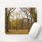 New York Mousepad Central Park New York Geschenke (Mit Mouse)