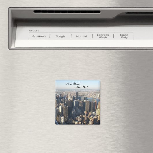 New York, New York Magnet (In Situ (Geschirrspüler))