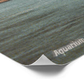 New York, NY - Aquarium und Fireboat "New Poster (Ecke)