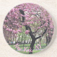 New York, NY Pink Cherry Blossom Tree Manhattan