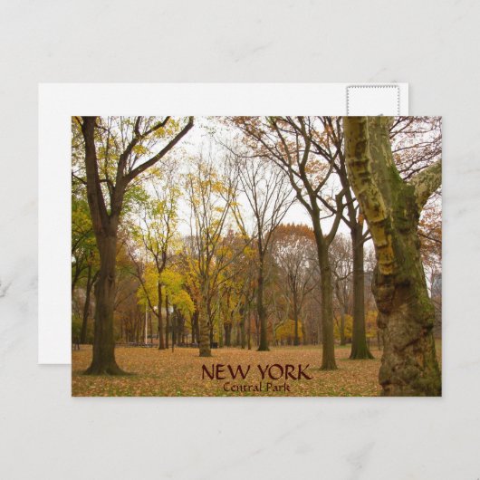 New York Postkarten NYC Central Park Postkarten (Vorne/Hinten)