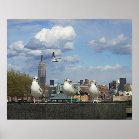 New York Skyline mit Seagulls Poster (Vorne)