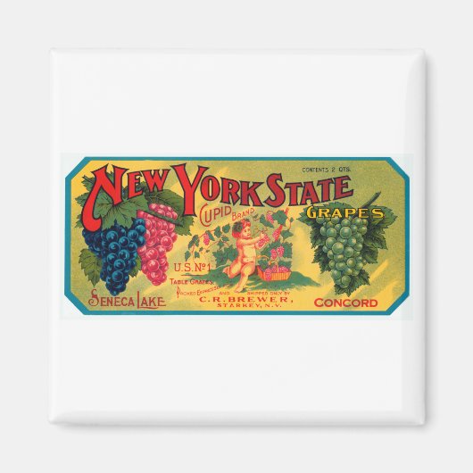 New York Staat Grapes Magnet (Vorne)