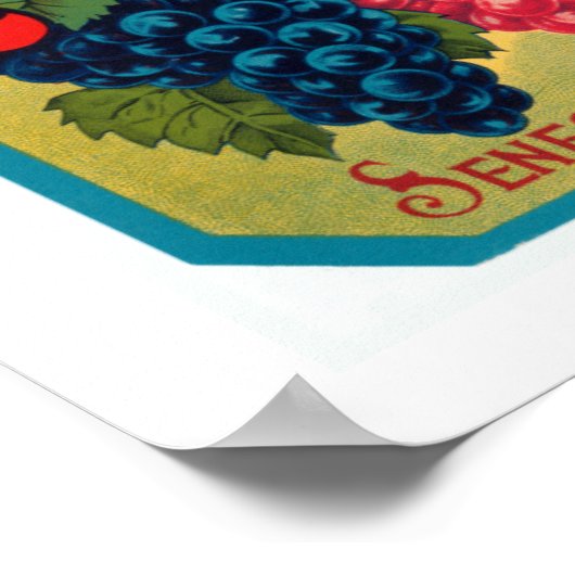 New York Staat Grapes Poster (Ecke)