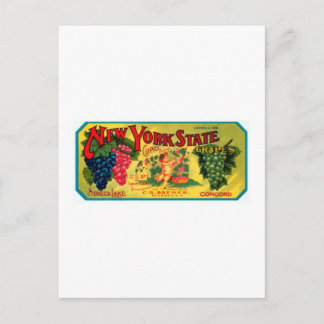 New York Staat Grapes Postkarte
