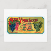 New York Staat Grapes Postkarte (Vorderseite)