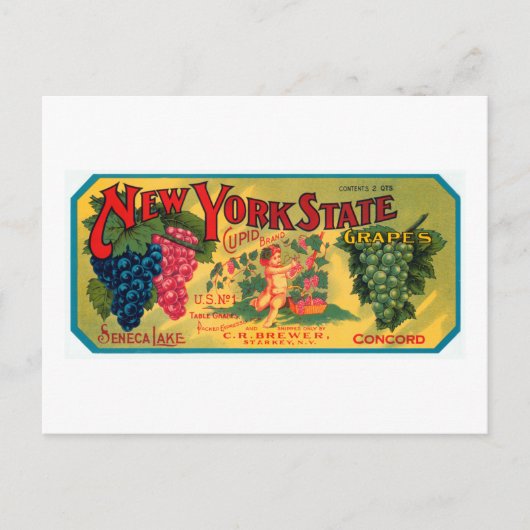 New York Staat Grapes Postkarte (Vorderseite)