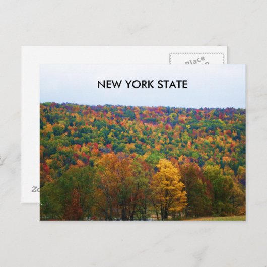 NEW YORK STAAT IN DER HERBSTPLATTE POSTKARTE (Vorne/Hinten)