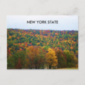 NEW YORK STAAT IN DER HERBSTPLATTE POSTKARTE (Vorderseite)