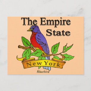 New York The Empire State Bird Postkarte