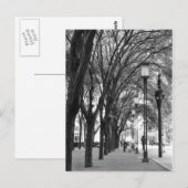 New York Tree Lined Walk Postkarte (Vorne/Hinten)